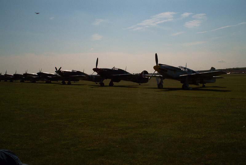 50.jpg (33140 bytes)