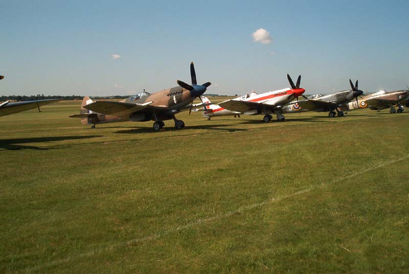 555.jpg (56428 bytes)