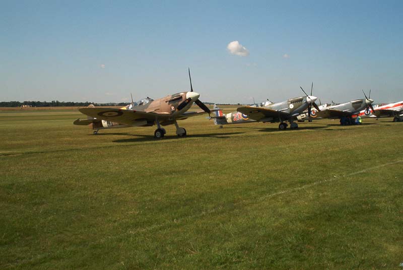 557.jpg (51732 bytes)