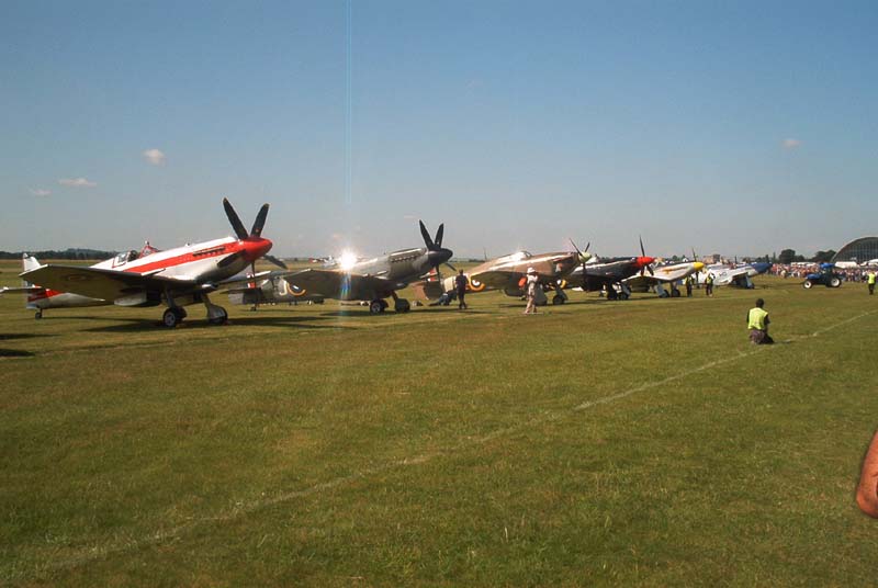 559.jpg (52907 bytes)