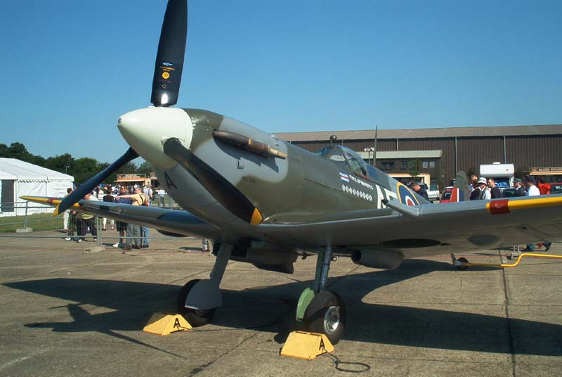 561.jpg (59008 bytes)